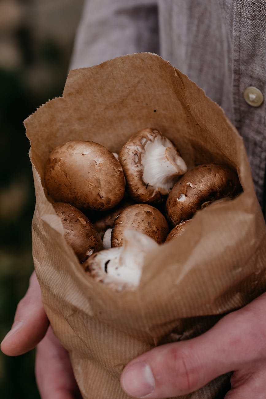 close up photo of mushrooms in a paper bag